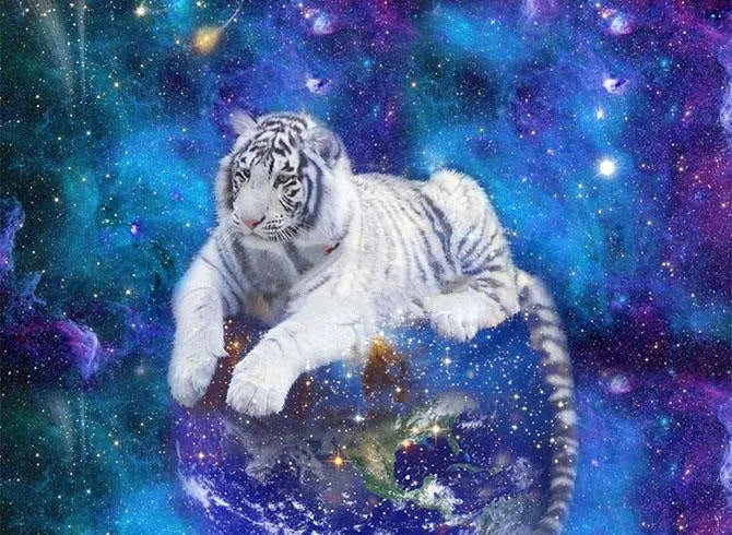 3D White Tiger and Galaxy Printed Luxury 4-Piece Bedding Sets/Duvet Covers