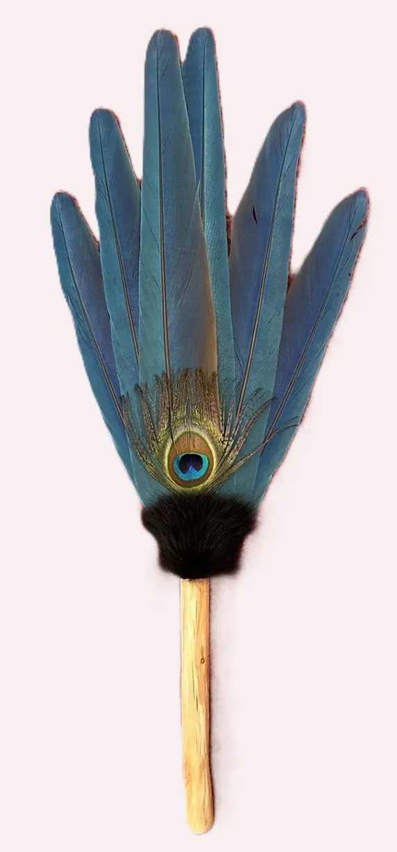 6-MaCaw Feather/Peacock Smudge Fan