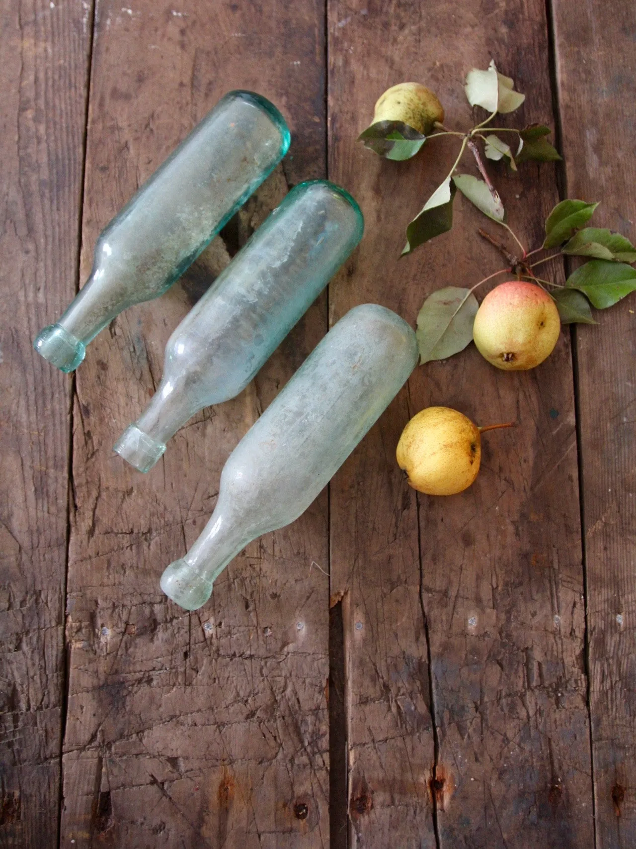 antique round bottle  collection