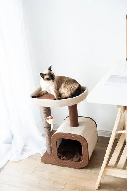 Catry Isla Cat Tree with Condo and Paper Rope Scratch Post