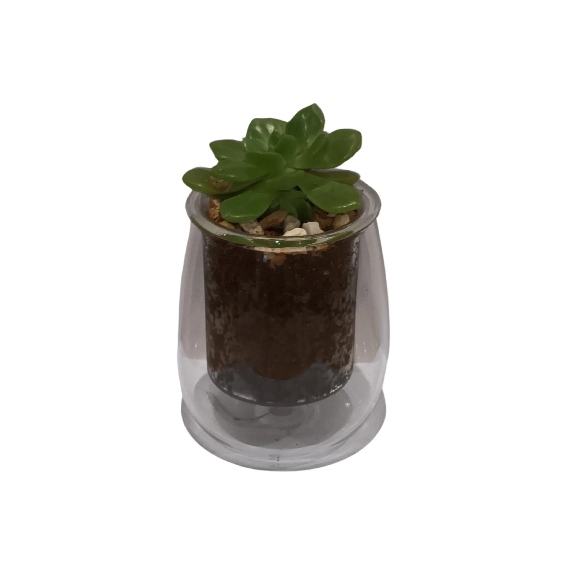 Cup O Flora Mini Self Watering Glass Pot With Succulent