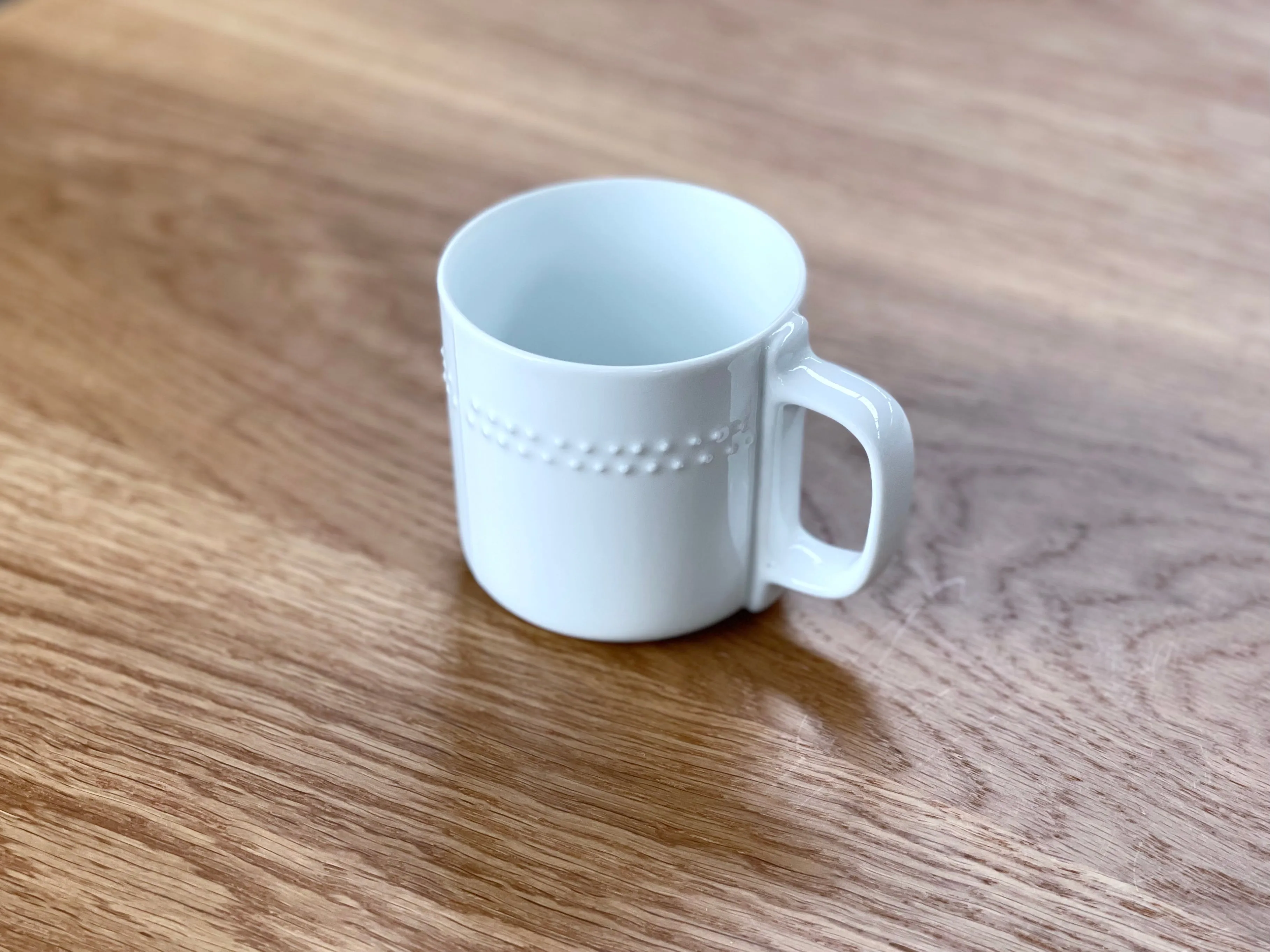 Hakusan Relief Mug F - Horizontal Dots