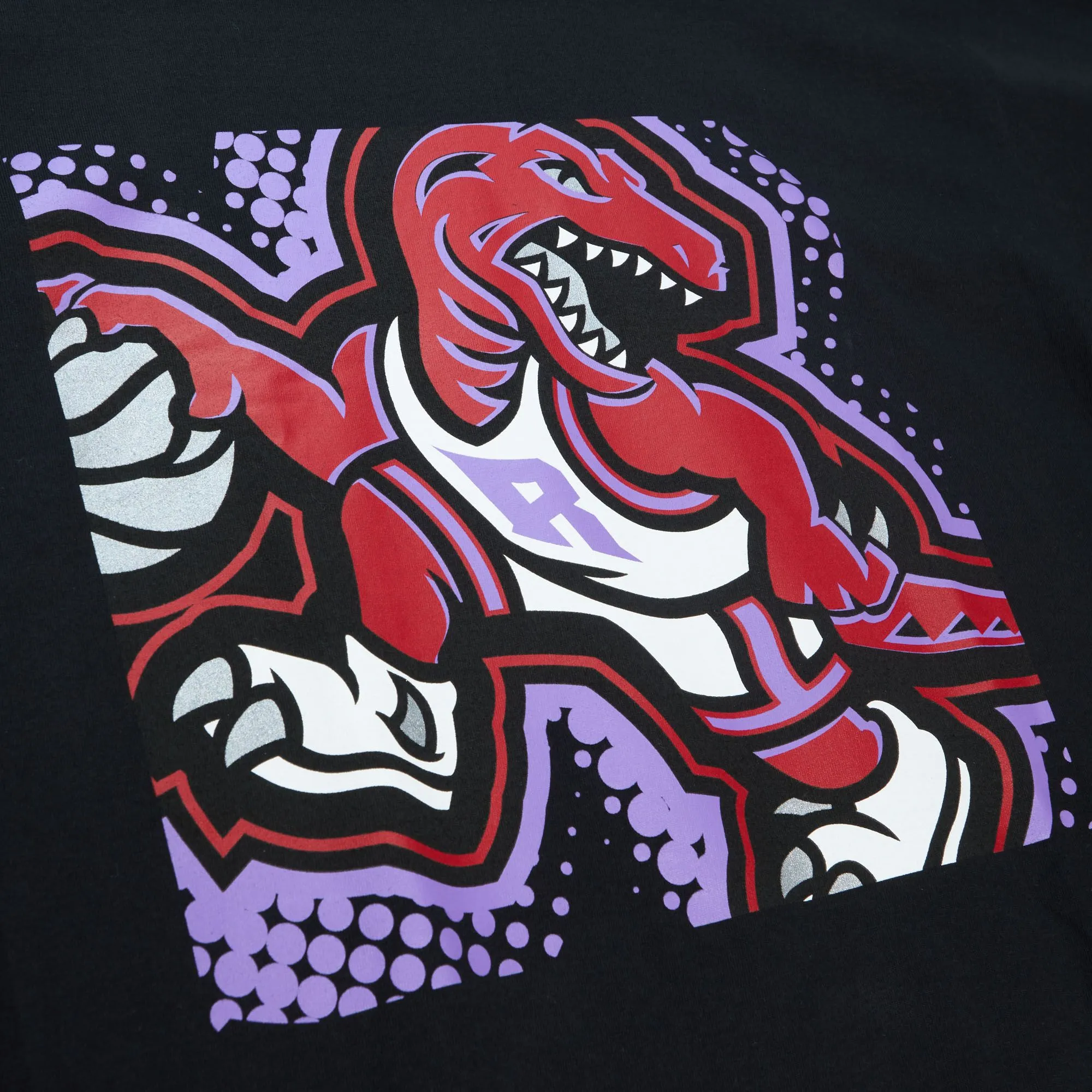 Mitchell & Ness Men's NBA Toronto Raptors Big Face 7.0 T-Shirt