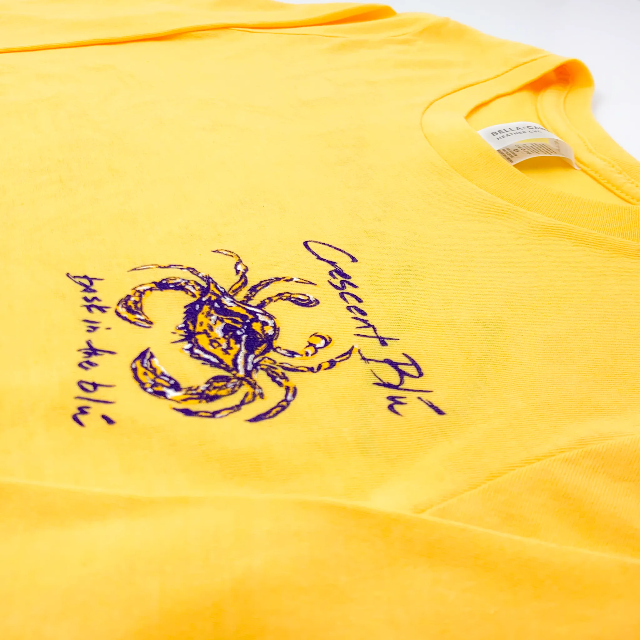 Purple & Gold Adult Long Sleeve T-shirt