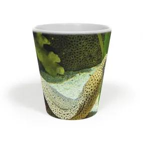 Yellow Eel Latte Mug, 12oz